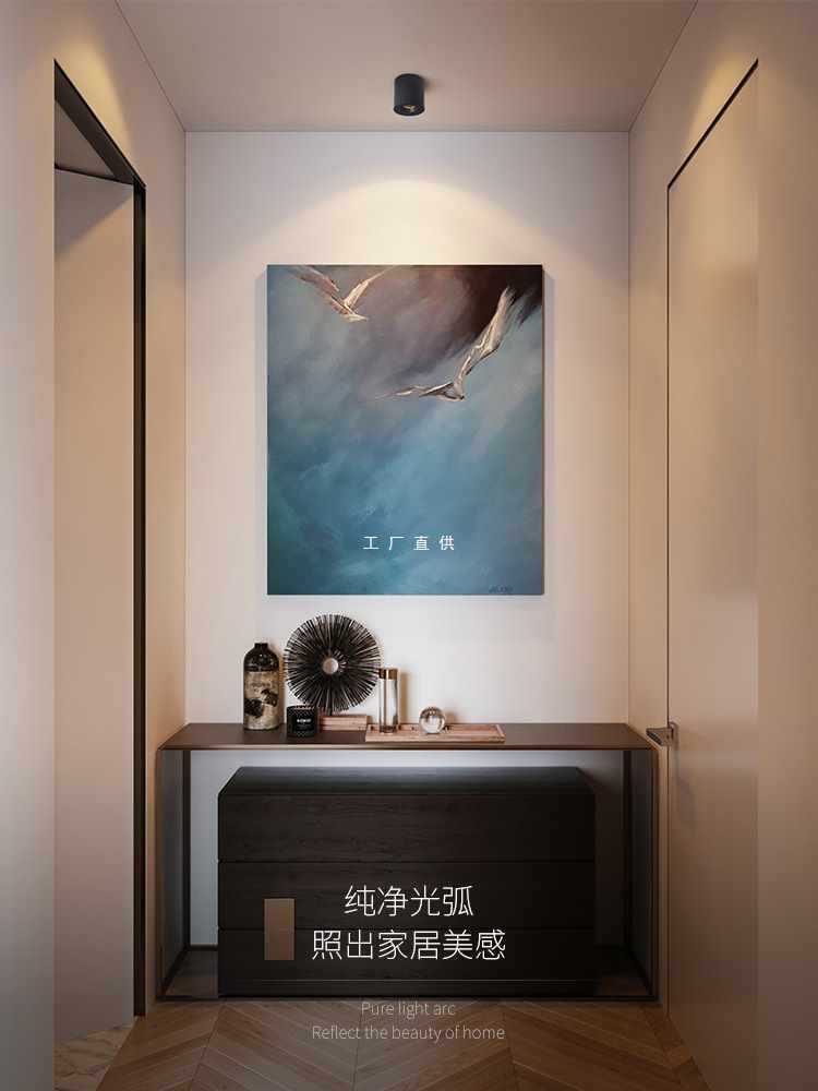 xyled明装筒灯防眩天花吊顶射灯客厅无主过道走廊家用免开孔-阿里巴巴