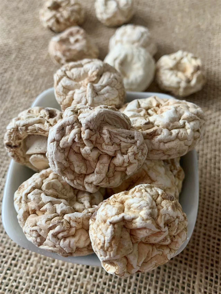 精品口蘑菇河北张家口坝上产内蒙白蘑炖肉炖汤食材干货250g袋装