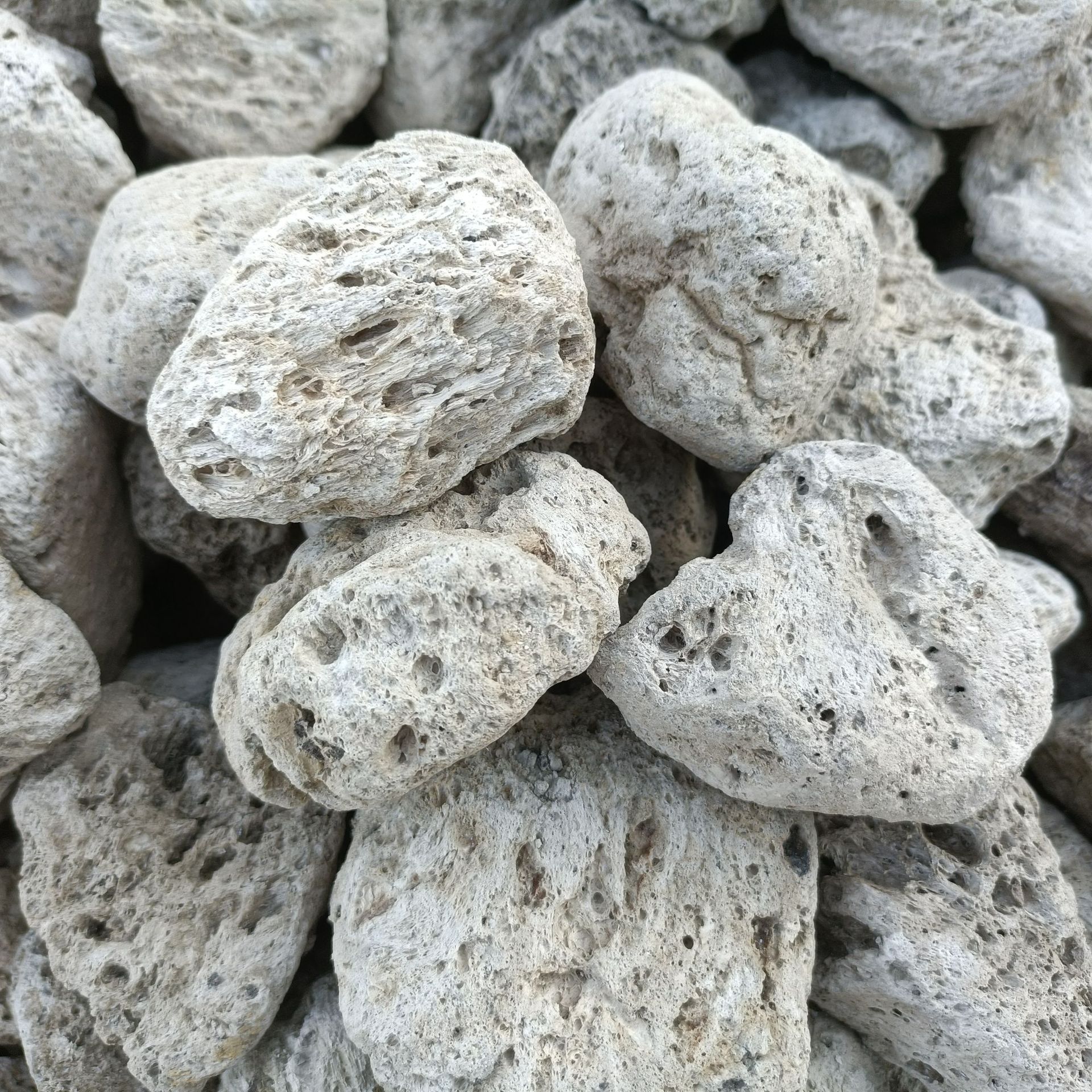 厂家供应多孔浮石 火山石 园艺造景灰白色浮石 轻石