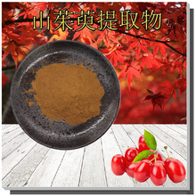 山茱萸提取物10:1规格含马钱苷蜀枣粉无中间商批发山萸肉提取物