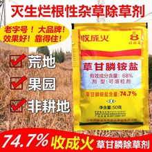 收成火68%高含量 草甘膦除草剂茅草芦苇 园林笔管草节草 连根除