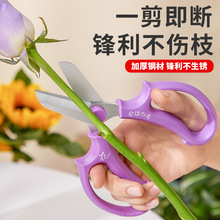 日本进口花艺剪刀鲜花店家用修花枝剪园艺师花卉工具插花剪子