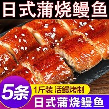 【顺丰包邮】日式蒲烧鳗鱼碳烤鲜活鳗鱼加热即食鳗鱼饭寿司鲲鳗鱼