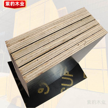 覆膜板桉木红色酚醛面板 桉木芯多层胶合板木质建筑覆膜板
