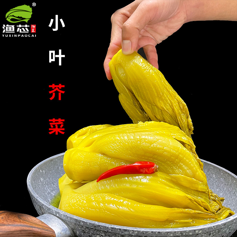 渔芯酸菜鱼商用无筋小叶脆酸菜餐饮连锁专用整箱脆爽小芥菜36斤装