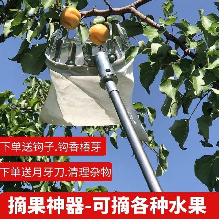 果剪刀摘果剪采果龙眼伸缩杆琵琶杨梅芒果采摘工具石榴高空采摘器