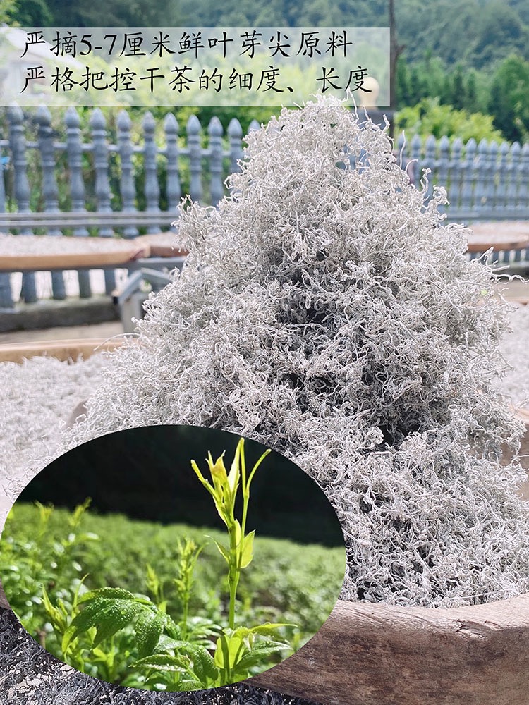 新茶张家界野生莓茶藤茶茶霉茶长寿藤永顺龙须牙尖-阿里巴巴