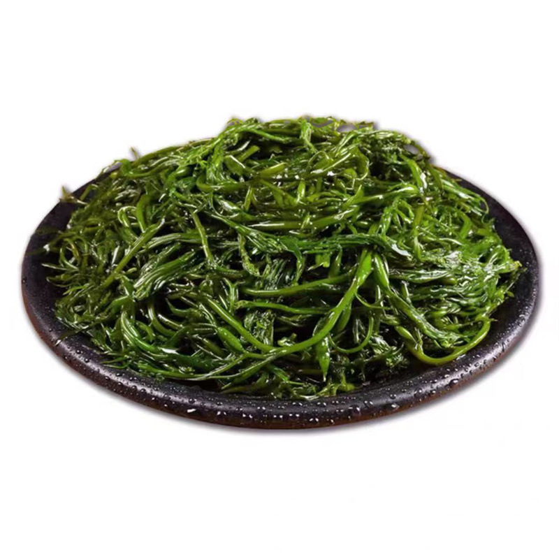 100斤包邮 新鲜长寿菜 海藻菜马尾藻海草菜商用酒店食材马尾菜