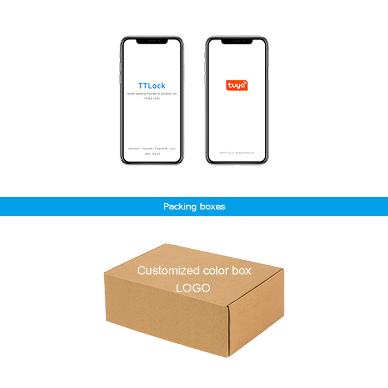 Fingerprint Lock Tuyawifi Password Engineering IC Card Russian One Hold Open Fingerprint Anti-Theft Doorbell 4585 Lock