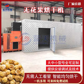大型无花果干烘干房 红心无花果脯脱水烧颗粒烘干机 无花果烘干机