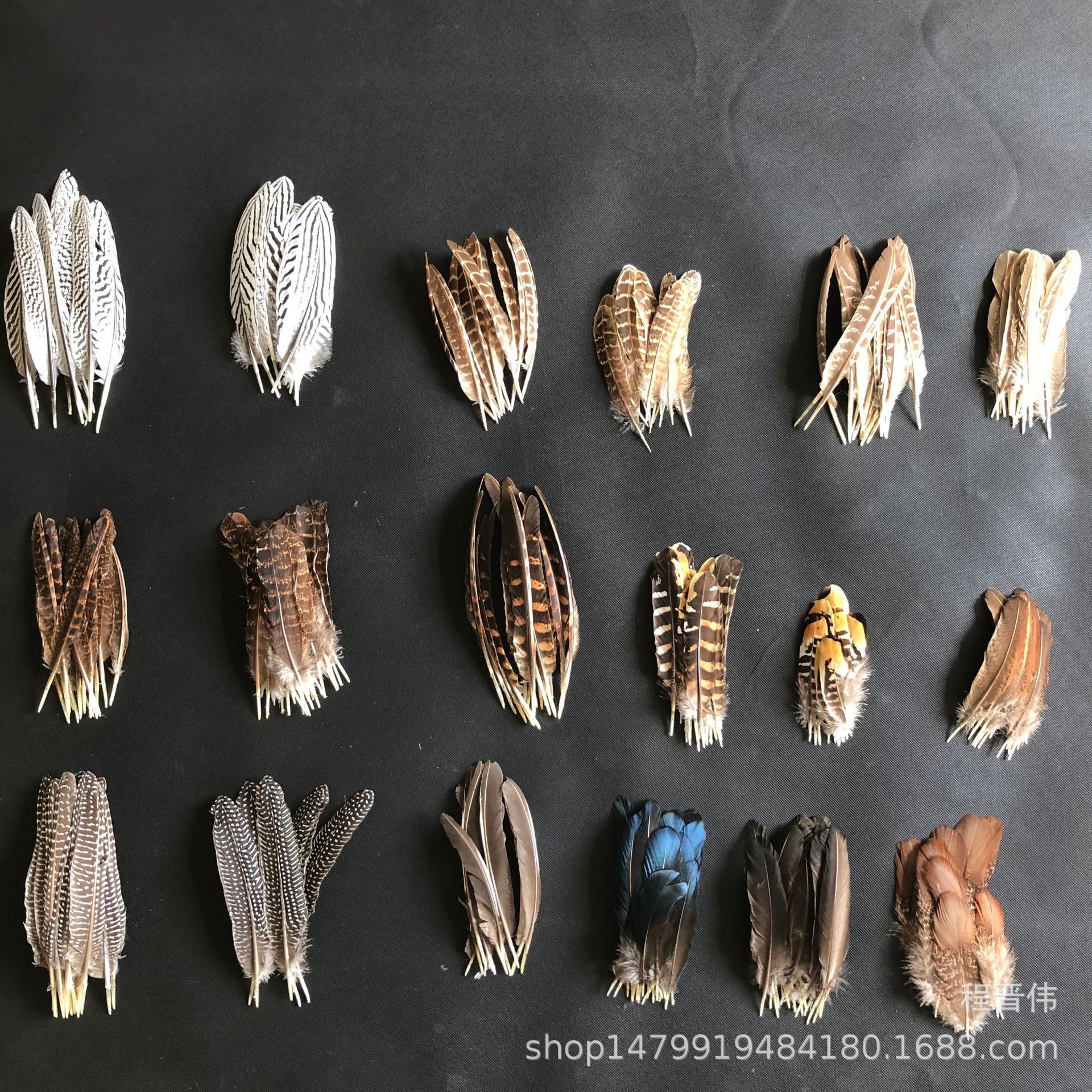 现货各种翅膀羽毛 珍珠鸡 铜鸡 地鸡 银鸡  山鸡 刀翎 窝翎