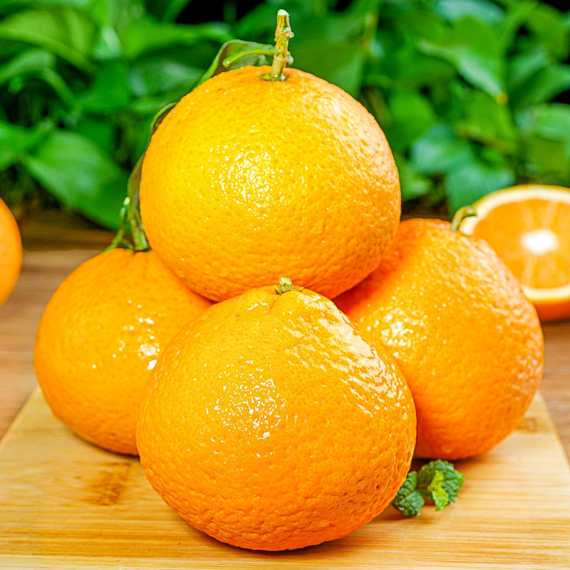 四川青见柑橘果冻橙斤桔子新鲜应当季水果丑八怪蜜橘子耙耙柑包邮