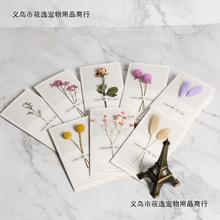 韩国创意diy满天星清新七夕情人节闺蜜生日纪念日婚礼干花小卡片