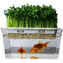 鱼菜共生鱼缸金鱼缸水族箱家用小型塑料水培种菜鱼菜共养桌面