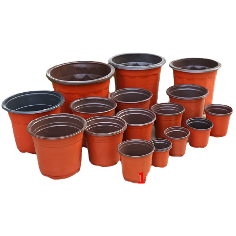 一次性育苗双色塑料简易软塑料育苗双色花盆容器宠物及园艺花瓶耐