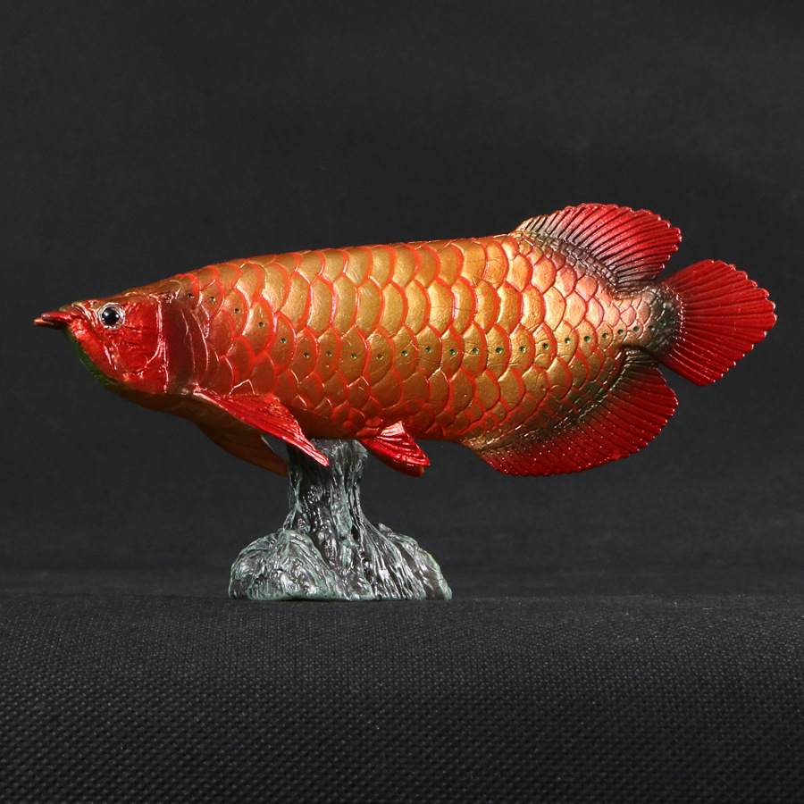 仿真观赏鱼金龙鱼鲈鱼深海鱼类实心海洋生物模型动物摆件
