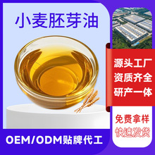 厂家直供一级压榨小麦胚芽油OEM定制贴牌超级工厂小麦胚芽基础油