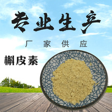 槲皮素98%天然槐米提取物源头厂家现货包邮1kg起订槲皮素原料