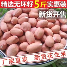 【特价新货生花生米】23年农家自种生花生米新鲜去壳白沙花生批发