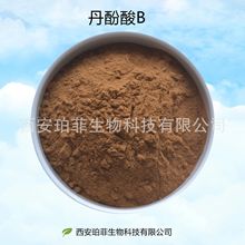 丹酚酸B 20% 丹参提取物 工厂直发水溶丹酚酸 棕黄色粉末多种规格