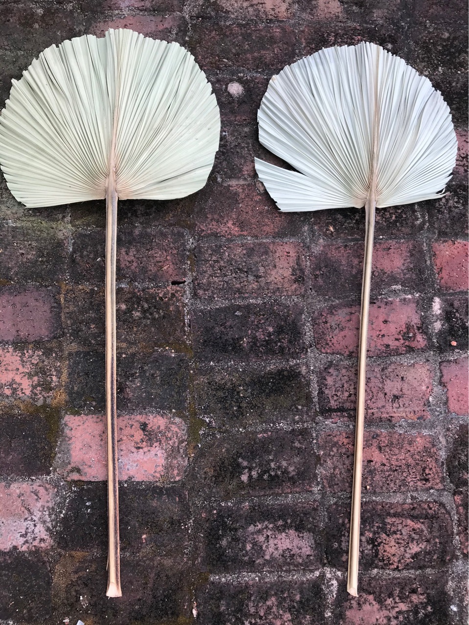 扇子品牌other/其他加工定制否是否进口否工艺纯手工材质其他商品属性