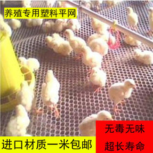 鸡用漏粪板 鸭鹅用禽用加厚塑料漏粪网 养鸡设备鸡舍地板养殖器械