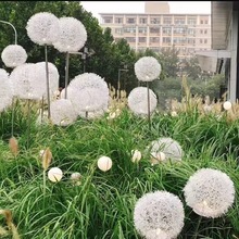 太阳能蒲公英灯定制户外草坪芦苇束景观夜灯庭院花园装饰灯批发