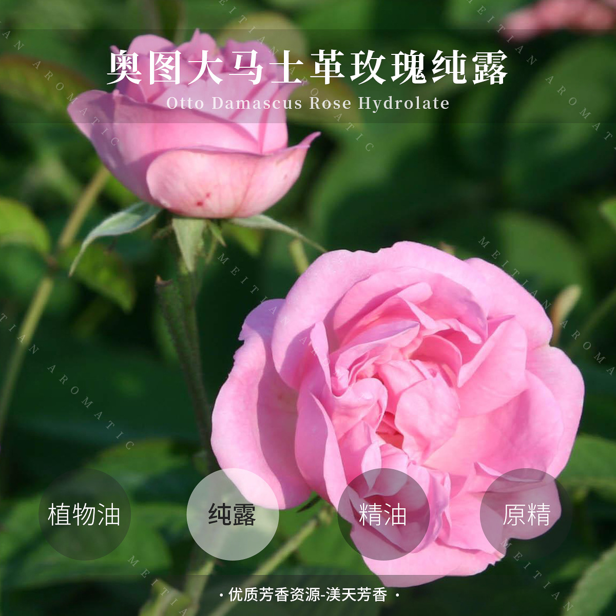 保加利亚奥图大马士革玫瑰纯露花水 化妆水 补水护肤纯露原料