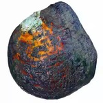 珍珠蚌自己开蚌取珍珠淡水活蚌壳河蚌多珠单珠鲜活真空打批发