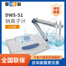 上海雷磁DWS-51 型钠离子计