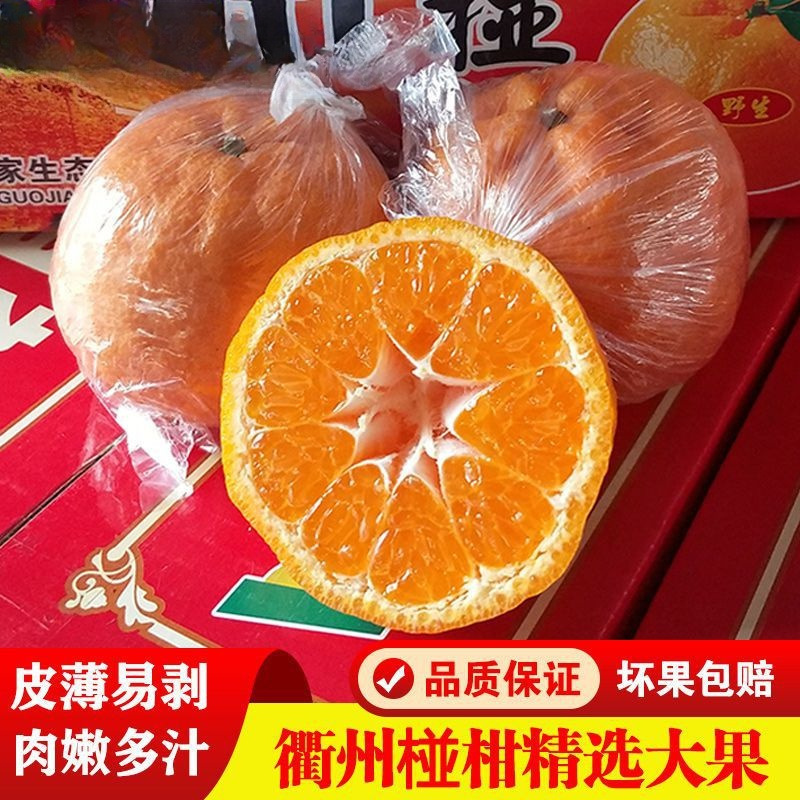 正宗衢州椪柑整箱10斤精选大果当季新鲜水果桔子丑橘子芦柑5斤