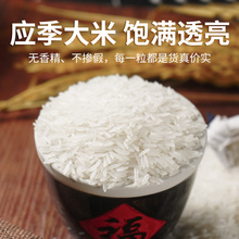 太粮 靓虾软米10kg南方油粘米煲仔饭长粒香软米大米20斤新米