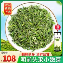 南京绿茶2024年新茶明前一级春茶头采雨花小嫩芽炒青茶叶罐装125g