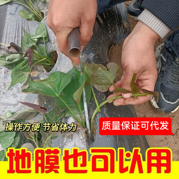 批发红薯栽苗器地瓜插苗器蔬菜种植工具叉子平栽工具葱苗栽苗神器