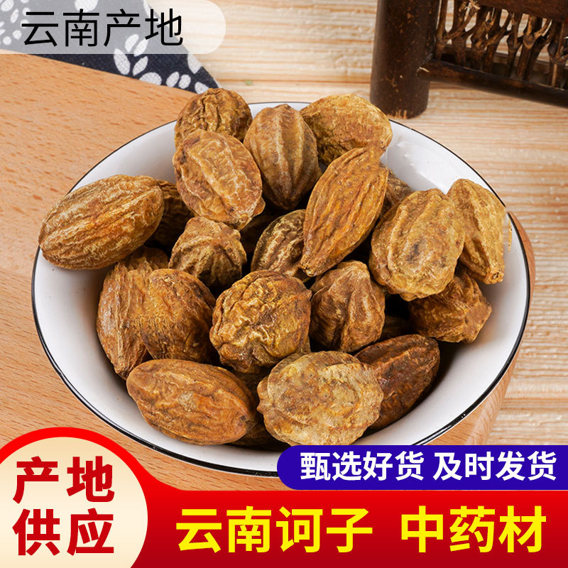 【柯子】冷背中药材批发 柯子肉 金柯子 诃子 品质保障 量大从优