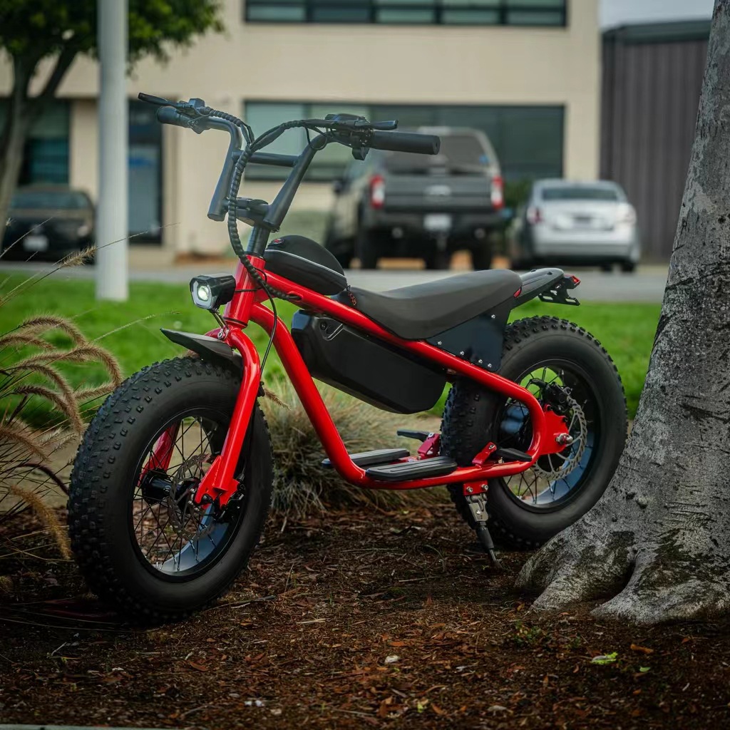 20寸越野电动摩托车铝合金软尾车雪地助力自行车锂电池厂家批发