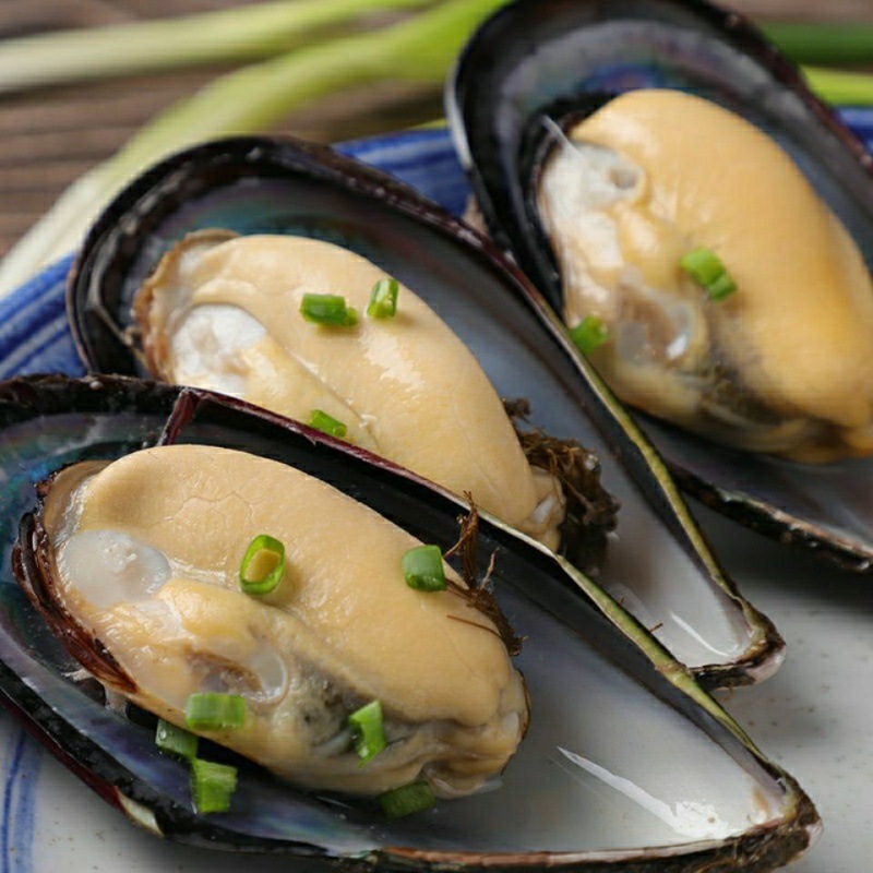 青口贝鲜活海虹带壳淡菜新鲜贻贝类生鲜海鲜水产大个活的海产