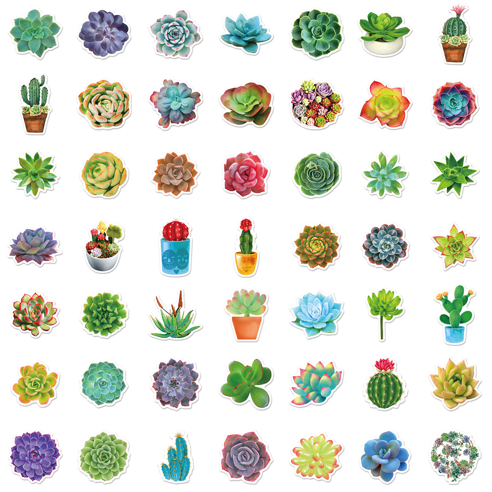 50张多肉系列贴纸 绿植卡通ins风贴纸 跨境新款北欧绿叶盆栽贴画