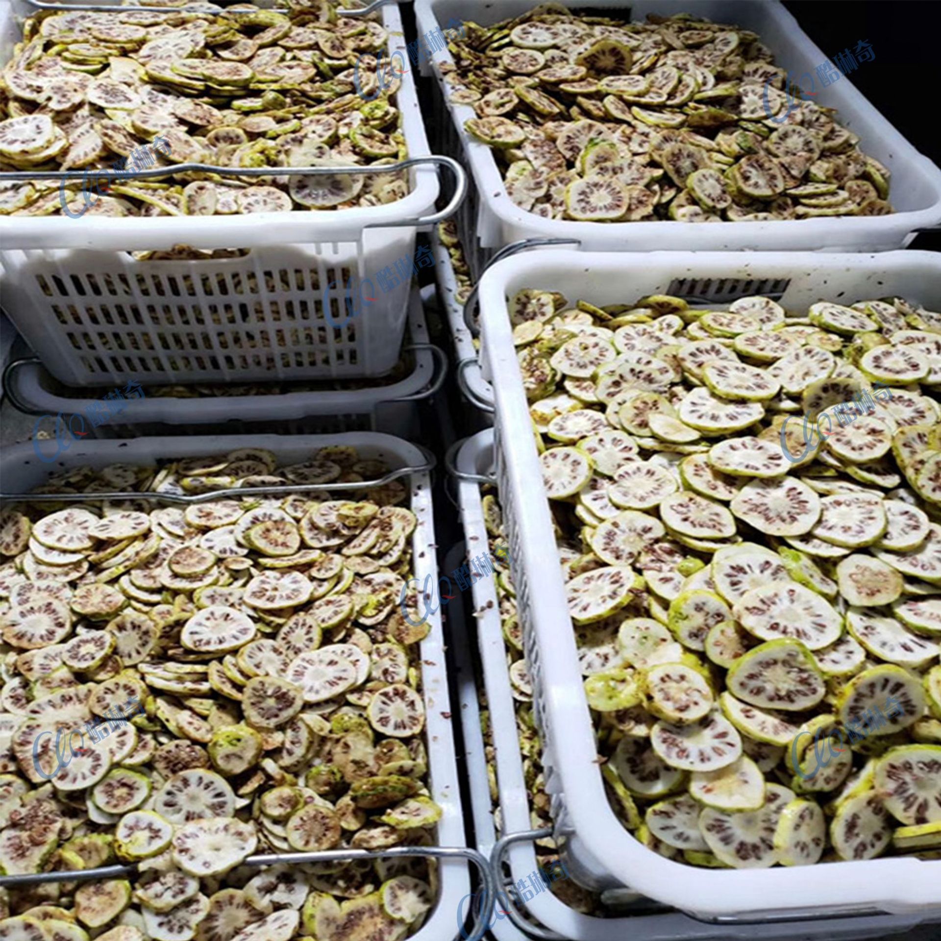 沙虫水果诺丽切片机 输送变频大型水果切片机猕猴桃冻干切圆片机