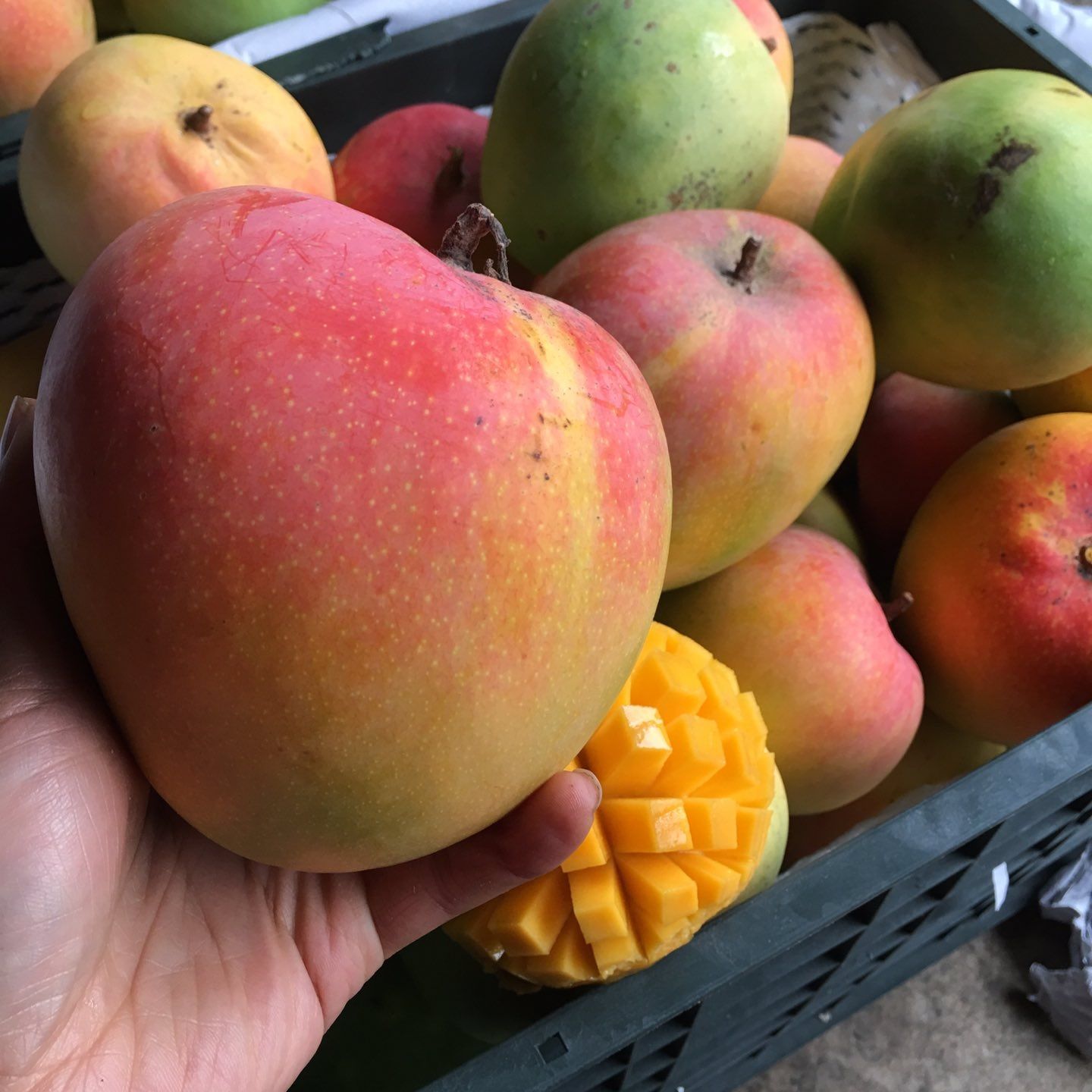 苹果芒果水果-苹果芒果水果厂家,品牌,图片,热帖-阿里巴巴