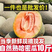 哈密瓜【】海南爆甜当季水果新鲜现摘西洲蜜非新疆玫珑网纹瓜