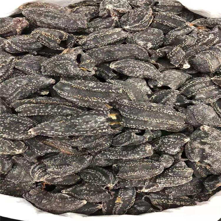 产地直批 俄罗斯/加拿大海参皮 原货足干海参 水发原料 海味干货