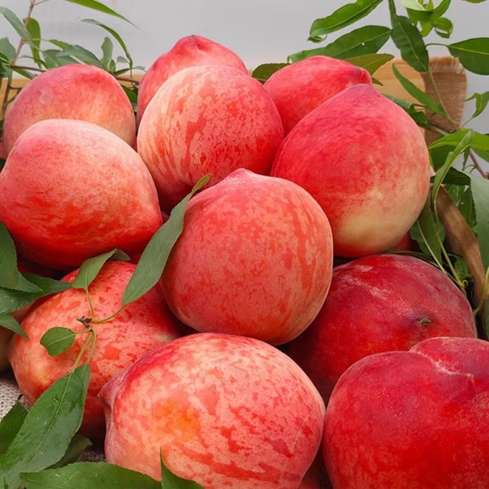 【顺丰速递】新鲜水蜜桃香甜多汁应季孕妇水果3/5斤装产地批发