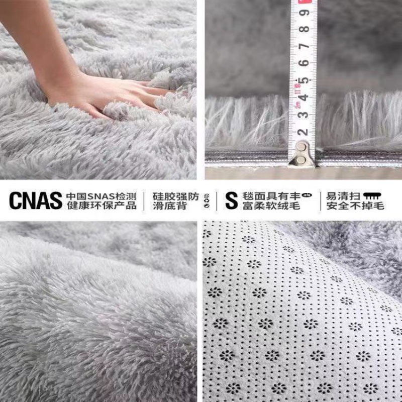 Carpet Bedroom Thickened Long-Haired Girl Stain-Resistant Bedside Blanket Living Room Coffee Table Bay Window Large Area Full of Photo Blanket