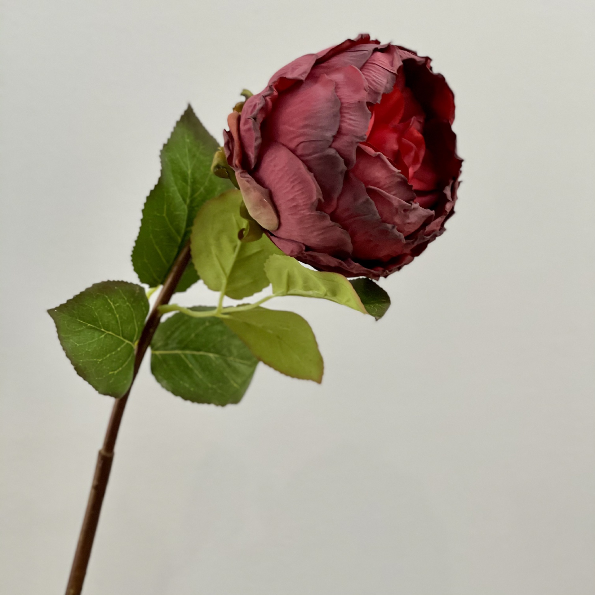 仿真玫瑰 复古烤边焦边单支玫瑰花 欧式油画蔷薇花婚庆婚礼仿真花