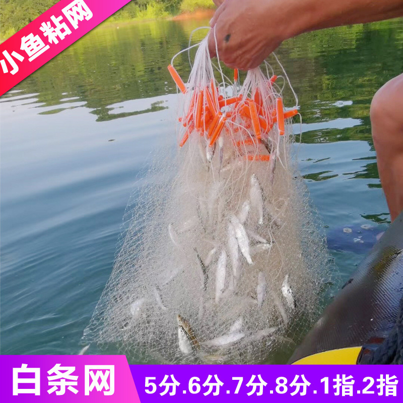 粘鱼网单层5678分眼1指半小白条鲫镰刀三层捕渔仔黏丝挂沉网