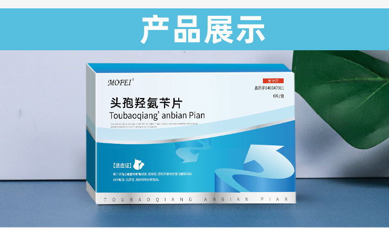 mofei 狗狗头孢宠物猫咪专用头孢羟氨苄片宠物犬猫通用头孢片6片