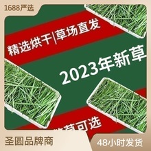 烘干提摩西草兔粮龙猫草北提干草2023年提摩西草500g袋磨牙型新嫩