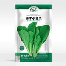 四季小白菜种子种籽小青菜蔬菜菜籽盆栽种菜阳台孑菜菜种籽种快菜