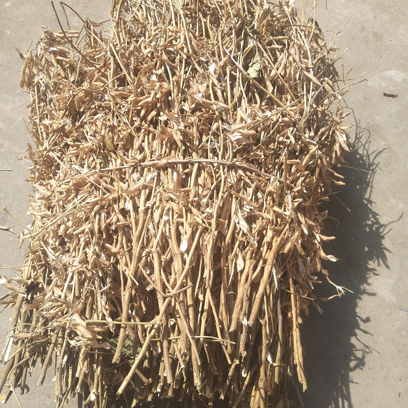 黄豆杆天然豆萁杆黑豆杆芦柴杆芝麻杆结婚装饰插花拍摄道具-阿里巴巴